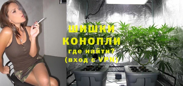 гидра Аркадак
