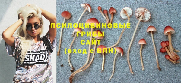 мескалин Армянск