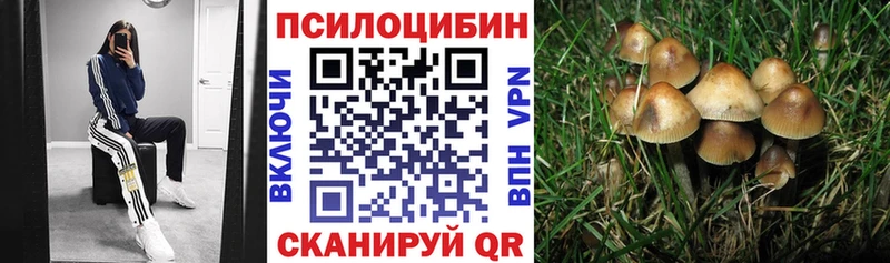 Купить  Бронницы  Галлюциногенные грибы Magic Shrooms 