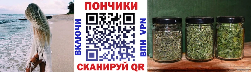 Купить где  Бронницы  Бошки Шишки ГИДРОПОН 